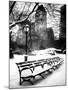 A Bench and Lamppost Snow in Central Park-Philippe Hugonnard-Mounted Premium Photographic Print