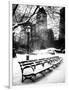 A Bench and Lamppost Snow in Central Park-Philippe Hugonnard-Framed Photographic Print