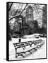 A Bench and Lamppost Snow in Central Park-Philippe Hugonnard-Framed Stretched Canvas