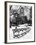 A Bench and Lamppost Snow in Central Park-Philippe Hugonnard-Framed Premium Photographic Print