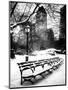 A Bench and Lamppost Snow in Central Park-Philippe Hugonnard-Mounted Art Print