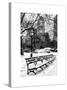 A Bench and Lamppost Snow in Central Park-Philippe Hugonnard-Stretched Canvas