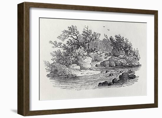 A Bend in the River from 'History of British Birds, Volume 2: Water Birds', 1804 (Woodcut)-Thomas Bewick-Framed Giclee Print