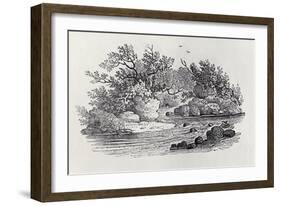 A Bend in the River from 'History of British Birds, Volume 2: Water Birds', 1804 (Woodcut)-Thomas Bewick-Framed Giclee Print