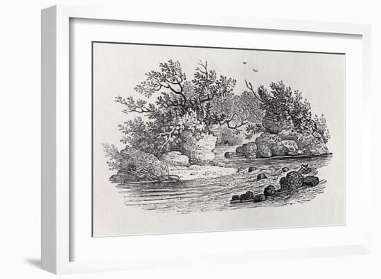 A Bend in the River from 'History of British Birds, Volume 2: Water Birds', 1804 (Woodcut)-Thomas Bewick-Framed Giclee Print