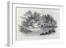 A Bend in the River from 'History of British Birds, Volume 2: Water Birds', 1804 (Woodcut)-Thomas Bewick-Framed Giclee Print