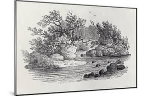 A Bend in the River from 'History of British Birds, Volume 2: Water Birds', 1804 (Woodcut)-Thomas Bewick-Mounted Giclee Print