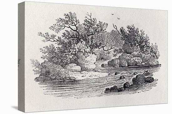A Bend in the River from 'History of British Birds, Volume 2: Water Birds', 1804 (Woodcut)-Thomas Bewick-Stretched Canvas