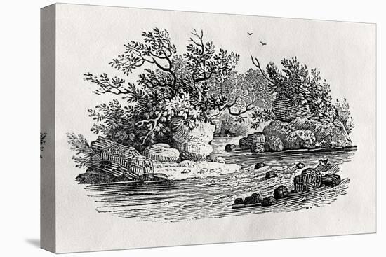 A Bend in the River, from 'Water Birds', Published 1804-Thomas Bewick-Stretched Canvas