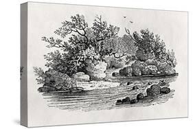 A Bend in the River, from 'Water Birds', Published 1804-Thomas Bewick-Stretched Canvas