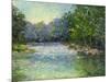 A Bend in the River-Mary Jean Weber-Mounted Art Print