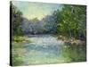 A Bend in the River-Mary Jean Weber-Stretched Canvas