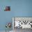 A Bhutanese Man Straightens a Prayer Flag at a Buddhist Shrine-null-Photographic Print displayed on a wall