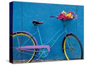 A Bicycle Against a Wall-null-Stretched Canvas