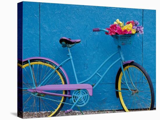 A Bicycle Against a Wall-null-Stretched Canvas