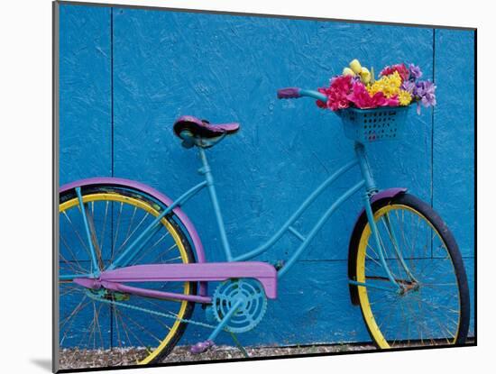 A Bicycle Against a Wall-null-Mounted Photographic Print