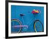 A Bicycle Against a Wall-null-Framed Photographic Print