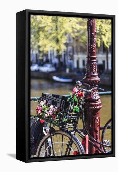 A Bicycle Decorated with Flowers by a Canal, Amsterdam, Netherlands, Europe-Amanda Hall-Framed Stretched Canvas