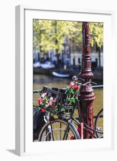 A Bicycle Decorated with Flowers by a Canal, Amsterdam, Netherlands, Europe-Amanda Hall-Framed Photographic Print