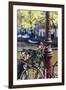 A Bicycle Decorated with Flowers by a Canal, Amsterdam, Netherlands, Europe-Amanda Hall-Framed Photographic Print