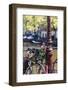 A Bicycle Decorated with Flowers by a Canal, Amsterdam, Netherlands, Europe-Amanda Hall-Framed Photographic Print