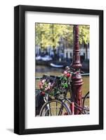 A Bicycle Decorated with Flowers by a Canal, Amsterdam, Netherlands, Europe-Amanda Hall-Framed Photographic Print