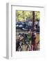 A Bicycle Decorated with Flowers by a Canal, Amsterdam, Netherlands, Europe-Amanda Hall-Framed Photographic Print