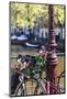 A Bicycle Decorated with Flowers by a Canal, Amsterdam, Netherlands, Europe-Amanda Hall-Mounted Photographic Print
