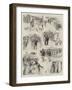 A Bicycle Tour in France-null-Framed Giclee Print