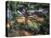 A Big Pine Tree Near Aix, 1895-1897-Paul Cézanne-Stretched Canvas