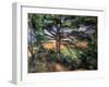 A Big Pine Tree Near Aix, 1895-1897-Paul Cézanne-Framed Giclee Print