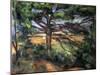 A Big Pine Tree Near Aix, 1895-1897-Paul Cézanne-Mounted Giclee Print