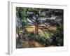 A Big Pine Tree Near Aix, 1895-1897-Paul Cézanne-Framed Giclee Print