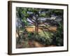 A Big Pine Tree Near Aix, 1895-1897-Paul Cézanne-Framed Giclee Print