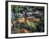 A Big Pine Tree Near Aix, 1895-1897-Paul Cézanne-Framed Giclee Print