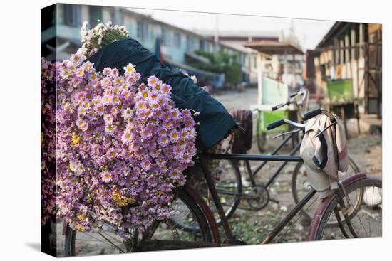 A bike loaded with fresh flowers at the flower market in Mandalay, Myanmar (Burma), Asia-Alex Treadway-Stretched Canvas