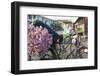 A bike loaded with fresh flowers at the flower market in Mandalay, Myanmar (Burma), Asia-Alex Treadway-Framed Photographic Print