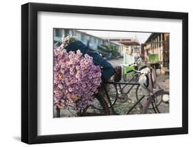 A bike loaded with fresh flowers at the flower market in Mandalay, Myanmar (Burma), Asia-Alex Treadway-Framed Photographic Print