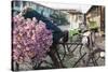 A bike loaded with fresh flowers at the flower market in Mandalay, Myanmar (Burma), Asia-Alex Treadway-Stretched Canvas