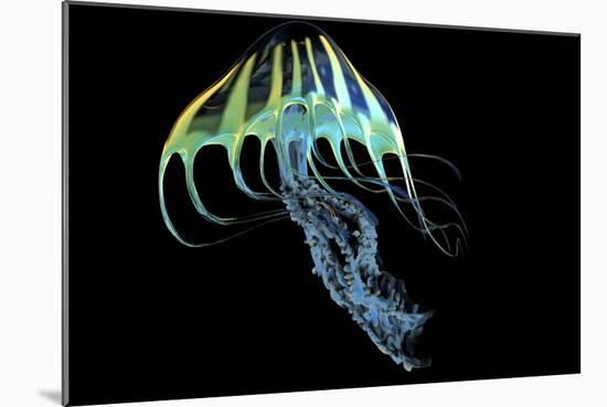 A Bioluminescent Jellyfish-Stocktrek Images-Mounted Premium Giclee Print