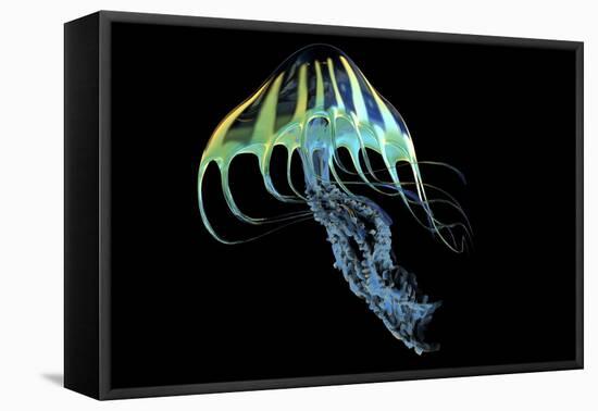 A Bioluminescent Jellyfish-Stocktrek Images-Framed Stretched Canvas