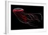 A Bioluminescent Red Jellyfish-null-Framed Art Print