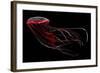 A Bioluminescent Red Jellyfish-null-Framed Art Print