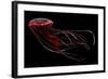 A Bioluminescent Red Jellyfish-null-Framed Art Print