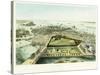 A Bird's Eye View of Boston, 1850-John Bachman-Stretched Canvas