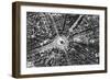 A Bird's Eye View of the Place De L'Etoile and the Arc De Triomphe, Paris, 1931-Ernest Flammarion-Framed Giclee Print