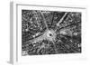 A Bird's Eye View of the Place De L'Etoile and the Arc De Triomphe, Paris, 1931-Ernest Flammarion-Framed Giclee Print