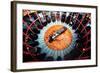 A Bird's Eye View of the Rounhouse-null-Framed Photographic Print