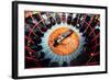 A Bird's Eye View of the Rounhouse-null-Framed Photographic Print