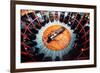 A Bird's Eye View of the Rounhouse-null-Framed Photographic Print
